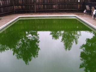 Say Goodbye to Algae: A Step-by-Step Guide to Keeping Your Pool Sparkling Clean