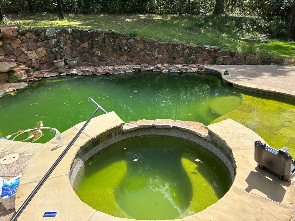 Before: Flower Mound Rescue — Pool left neglected for 3 months, turned into a swamp with heavy algae bloom