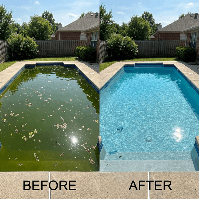 Green to Clean